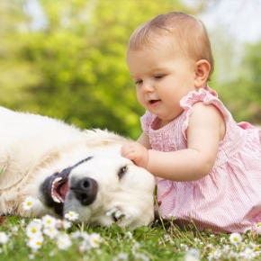 نوزاد و مادر